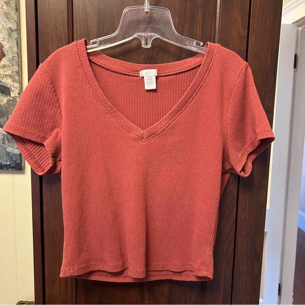 Orange Crop Top